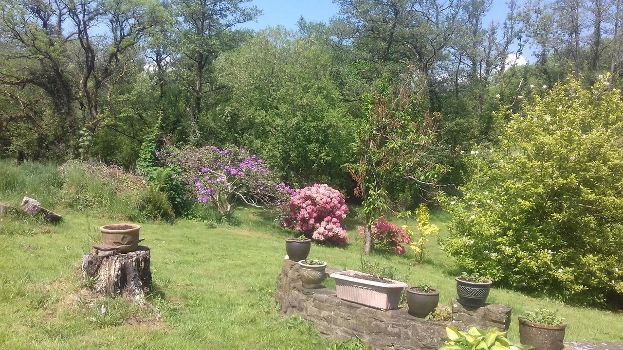 Hills Farm B&B Laugharne Exterior foto